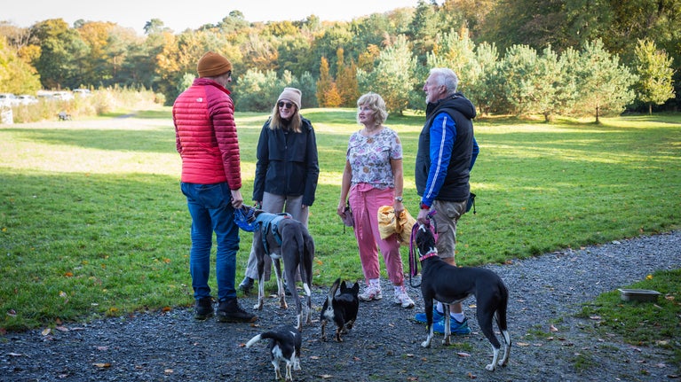 Visitors enjoying the Rowallane Garden dog field